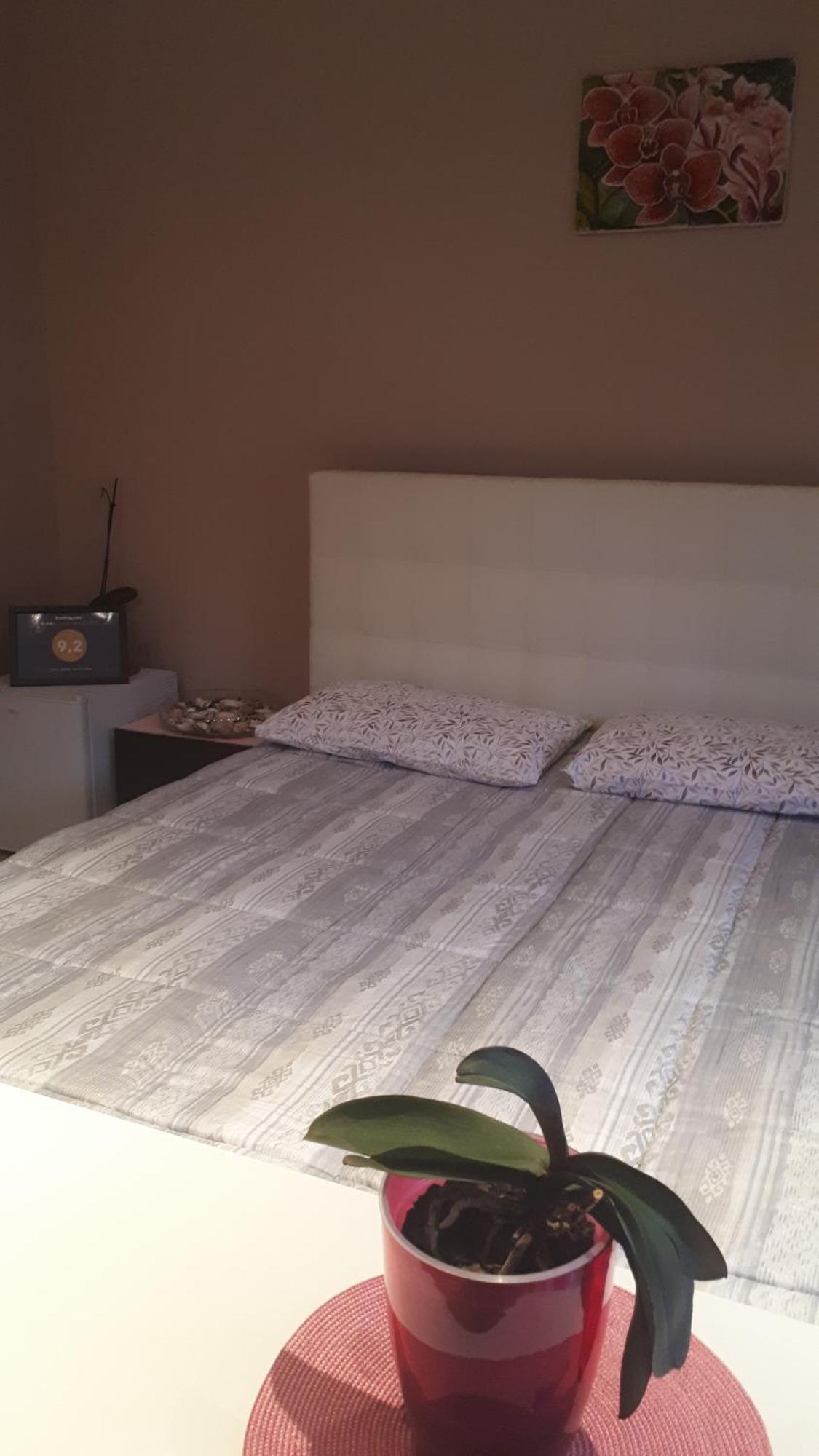 Casa Delle Orchidee Hotel อัลบา ห้อง รูปภาพ